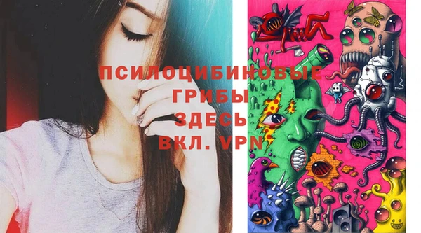 PSILOCYBIN Белоозёрский
