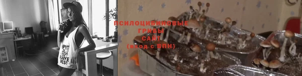 a pvp Беломорск