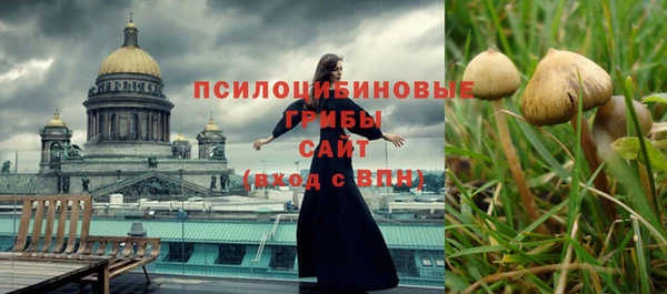 a pvp Беломорск