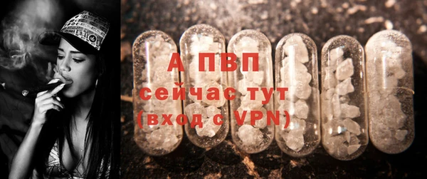 PSILOCYBIN Белоозёрский