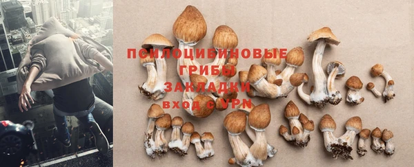 мет Белокуриха