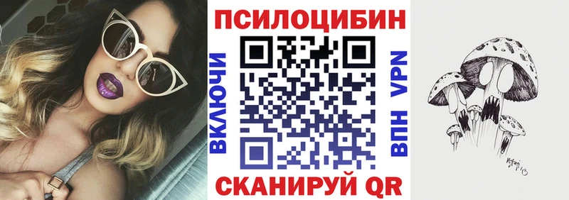 Псилоцибиновые грибы Psilocybine cubensis Гусев